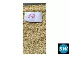 LATEST BEST PRICE CASHEW NUTS SUPPLIER IN INDORE