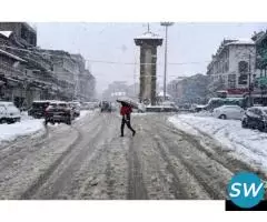 Srinagar Delights Tour