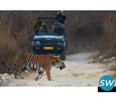 Tiger Safari Central India by Odin Tours