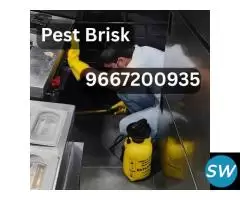 Pest Brisk: Pest Control Services Delhi NCR