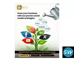 Best SEO Company in Bangalore | Skyaltum