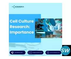 Cell Culture Research: Importance
