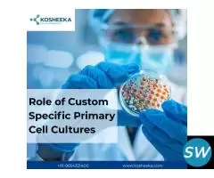 Role of Custom Specific Primary Cell Cultures
