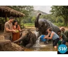 Elephant Sanctuary Jaipur Experience