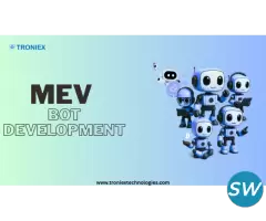 Custom MEV Bot Development