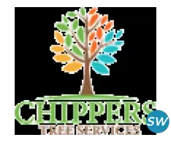 Tree Pruning Services in Dallas Fort Worth