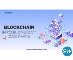 Custom Blockchain Development