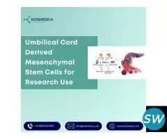 Umbilical Cord Derived Mesenchymal Stem Cells
