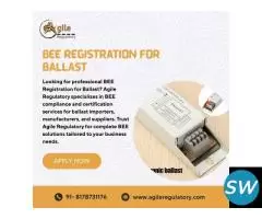 Hassle-Free BEE Registration for Ballast Services