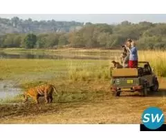 Fort and Forest - Jaipur and Ranthambore