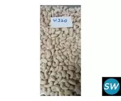 W180 KAJU NUTS LATEST PRICE IN KOLKATA West Bengal
