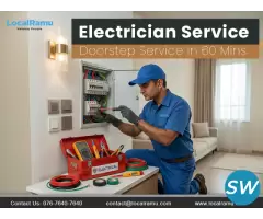 Professional Electrician Service
