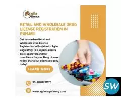 Pharma Business with Drug License in Punjab