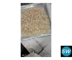 wholesaler cashew nuts supplier in Amber Jaipur