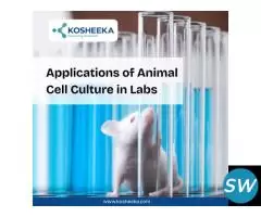 Applications of Animal Cell Culture in Labs