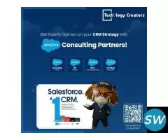Hire a Salesforce Consulting Partner