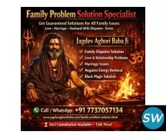 Family Problem Solution Specialist in India