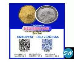 Reliable Stock CAS 28578-16-7 PM.K BM.K 5449-12-7