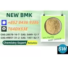 CAS28578-16-7 B.MK Powder 5449-12-7 P.MK Oil