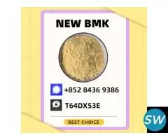 High Purity BM.K 5449-12-7 PM.K 28578-16-7