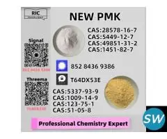CAS: 28578-16-7,New P.MK B.MK Powder/Oil