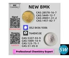 Fast delivery B.MK 5449-12-7 With P.MK 28578-16-7