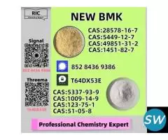 Best Price CAS 49851-31-2 High Purity B.MK