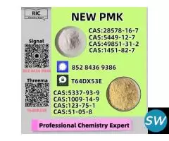 Respected Source PM.K 28578-16-7 49851-31-2