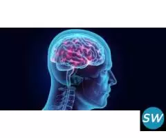 Brain Hemorrhage Treatment Cost and Care