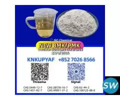 Bulk pm.k 28578-16-7 and B.MK CAS 5449-12-7