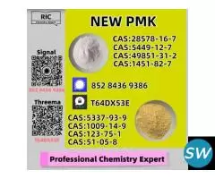 Worthy Seller 28578-16-7 P.MK 5449-12-7