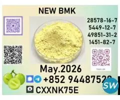 b.m.kpotential in cancer treatment,