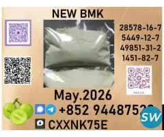 b.m.kpotential in cancer treatment,