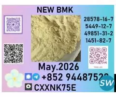 b.m.kpotential in cancer treatment,