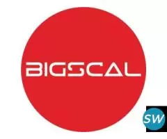 Bigscal The Ultimate Software Development Company