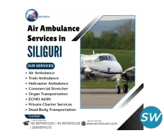 Siliguri Air Ambulance Trusted Critical Transfers