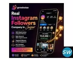 Real instagram Followers Company in Jaipur