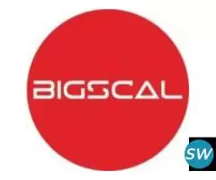 Bigscal The Ultimate Software Development Company