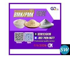 International Business Support 28578-16-7