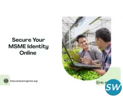 Secure Your MSME Identity Online