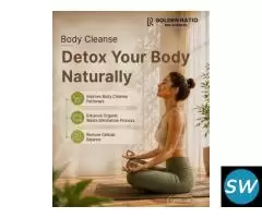 Buy Lipo-Flux 9 | Lipid Metabolism