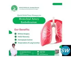 Specialized Bronchial Artery Radiology