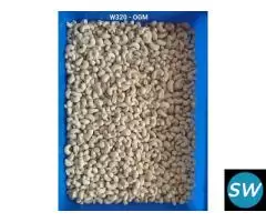 Mumbai cashew nuts wholesaler in Maharashtra