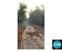 Corbett National  Park