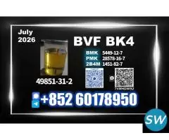 49851-31-2, 1451-82-7 high-standard