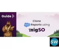 Clone Reports in Salesforce