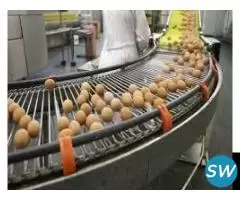 Food Processing Plant Solutions by Kerone