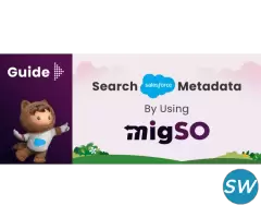Salesforce Metadata Migration App