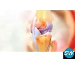 Top Physiotherapist in Jaipur