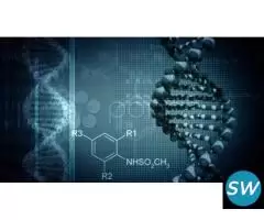 Biotechnology Degree at Vidya University Meerut